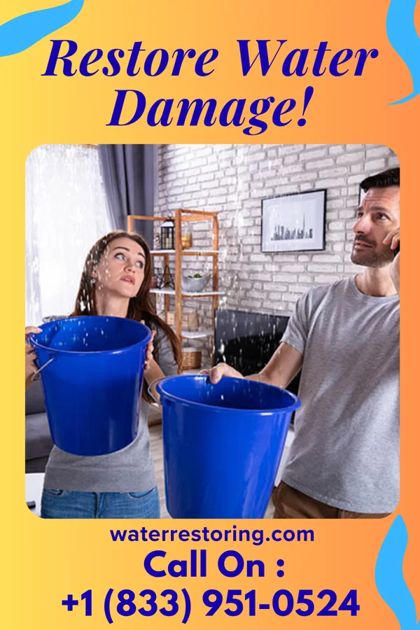 water restoration Direct Water Repair Group Belleair Bluffs
