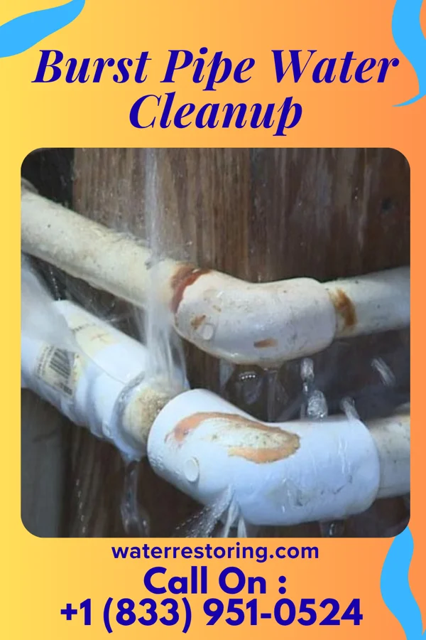 Burst Pipe Water Cleanup in Belleair Bluffs, FL
