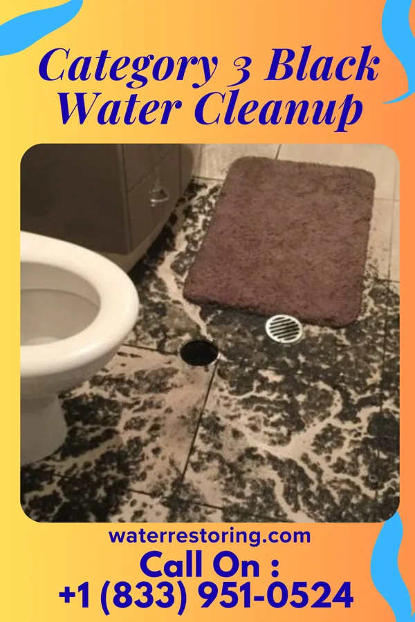 Category 3 Black Water Cleanup in Belleair Bluffs, FL