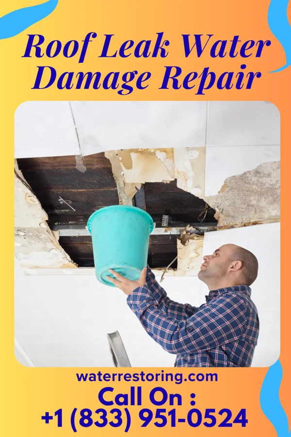 Roof Leak Water Damage Repair in Belleair Bluffs, FL
