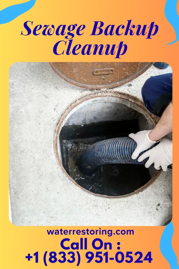 Sewage Backup Cleanup in Belleair Bluffs, FL